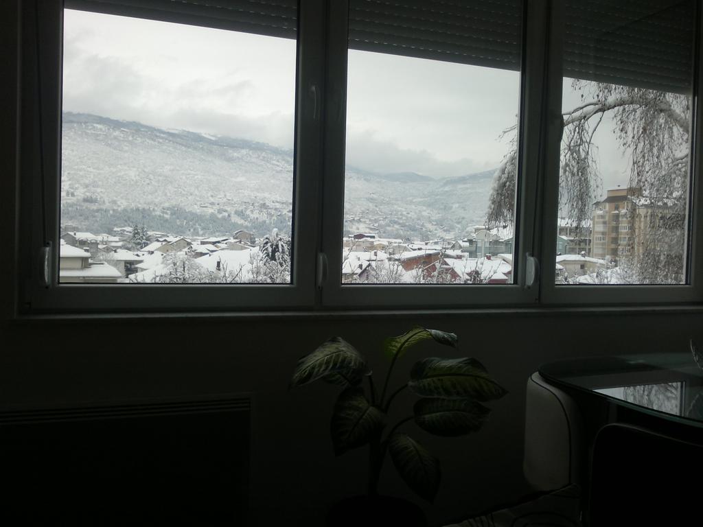 Apartment Goran And Milena Ohrid Rom bilde